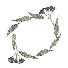 Circle floral frame with decorative eucalyptus flowers, leaves. Exotic tropical fluffy eucalypt sketch. Ornate border. Vector hand drawn illustration for wallpaper, posters, card. Copy space. © Alla