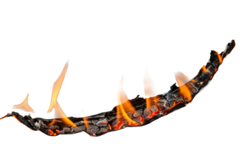 Paper burning with orange and red flames, revealing black char, ash, embers, rising smoke; isolated on gray with dramatic lighting, destructive transformation concept