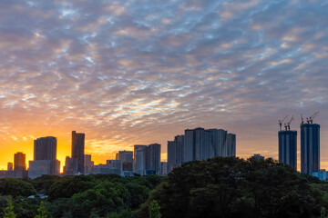 東京散歩　東京湾の夜明け