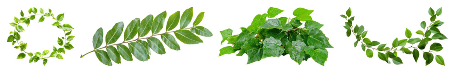 PNG Green leaves arranged creatively, element set on transparent background