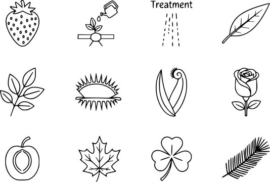 set of 10 outline web nature icons such as straberry leaf, treatments, lanceolate, sprig with five leaves, carnivorous plant, roses, apricot leaf leaf vector icons for report, presentation, diagram