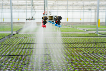 Automated watering system sprays water over rows of small, leafy green seedlings growing in trays inside a bright, modern glasshouse