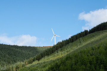 Wind turbine above the trees