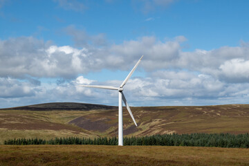 Bowbeat turbine v2 © Tom