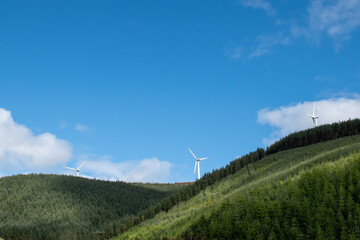 Fototapeta premium Turbine above the forest