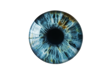 Stunning closeup of vivid blue human eye with intense detail