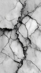 Stunning black and white marble with intricate veins and cracks showcasing natural beauty in a textured surface