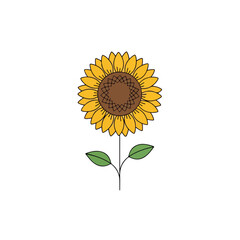 Vibrant Sunflower Illustration with Detailed Petals and Green Leaves.