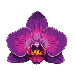 Vibrant Purple Orchid Flower Isolated on White Background.