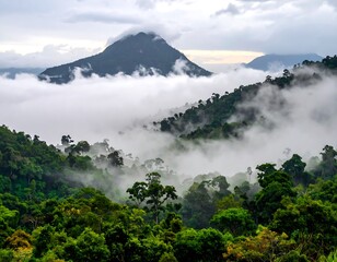 Misty mountain range with dense jungle forest
