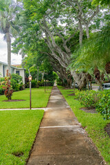 geometric lawn design with clean symmetry. Palm accents add zest.