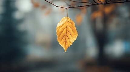 Single golden autumn leaf hanging from a bare tree branch against a blurred natural background, representing themes of change, endurance, and the passing of seasons