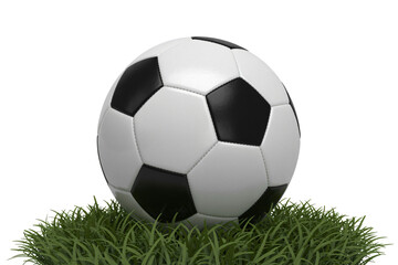 Obraz premium Classic soccer ball resting gently on lush green grass blades