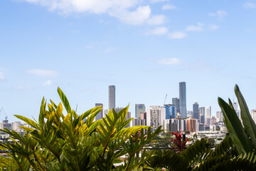 city glimpses from a rooftop garden, Brisbane
