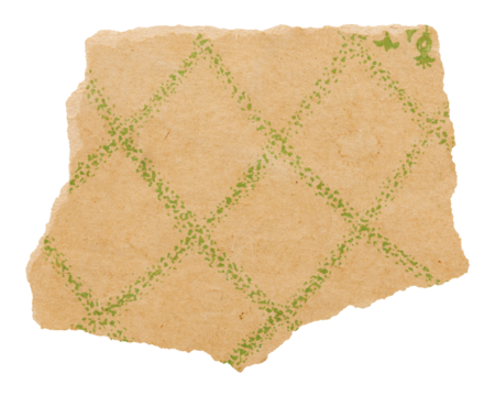 Torn piece of yellowed vintage book sheet, old paper with green net pattern isolated for design