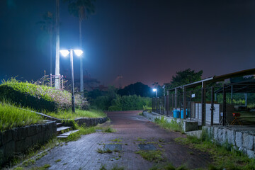 夜の公園通りと緑の木々