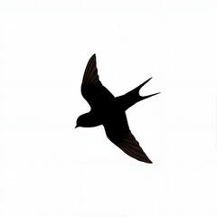 Obraz premium Black silhouette of a bird flying against a white background 