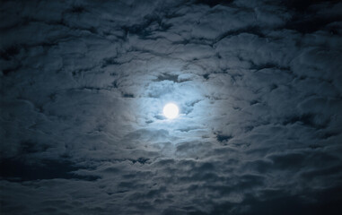 Fototapeta premium full moon over the sea