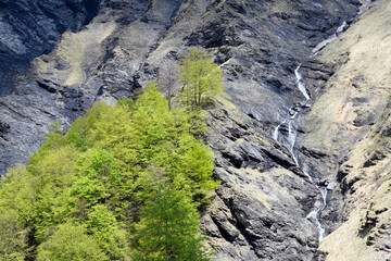 Wanderweg von Weisstannen im Weisstannental zur Wasserfallarena von Batöni, Mels, Kanton St. Gallen