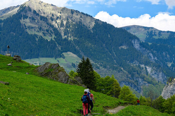 Fototapeta premium Wanderweg von der Wasserfallarena von Batöni nach Weisstannen im Weisstannental , Mels, Kanton St. Gallen
