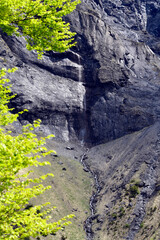 Obraz premium Wanderweg von Weisstannen im Weisstannental zur Wasserfallarena von Batöni, Mels, Kanton St. Gallen
