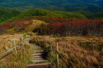 Mountain trail with steps descending through autumn meadows and red shrubs