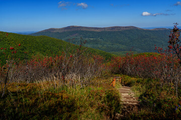 Wooden steps in autumn shrubs leading into panoramic green mountain ridges