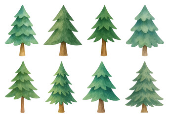 Fototapeta premium PNG Watercolor evergreen trees illustration, element set on transparent background