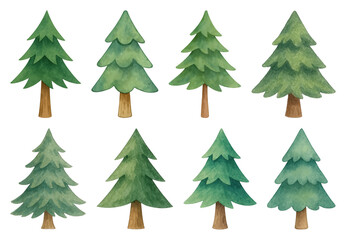 Fototapeta premium PNG Watercolor evergreen tree illustrations, element set on transparent background