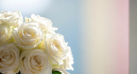 Obraz premium Luminous bouquet of white roses against a soft, pastel background, bathed in gentle light