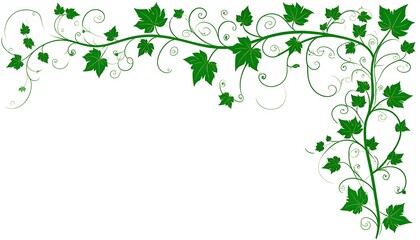 Green vine border design
