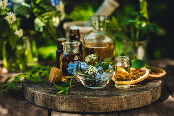 Aromatherapy, beauty, health care. Ayurveda, naturopathy. Pure fresh organic ingredients for cosmetics, perfumery production. Essential oil, mint, calendula, camomile, plant-based herbal extracts