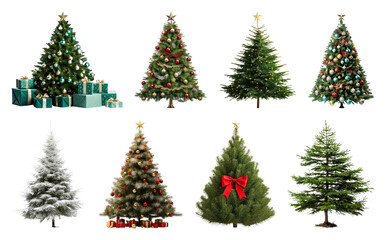 Obraz premium PNG Diverse festive Christmas tree collection, element set on transparent background