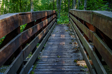 Wooden footbridge in forest close-up, planked walkway with autumn leaves