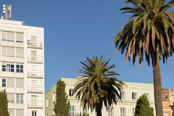 Sunny Urban Scene With Palm Trees, Modern Building Facades, And Clear Blue Sky