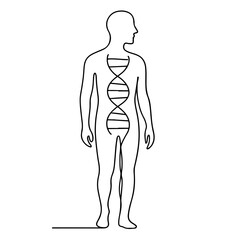 DNA molecule inside human silhouette, single line illustration in black minimalist style