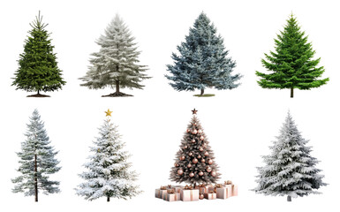 Obraz premium PNG Diverse festive Christmas trees collection, element set on transparent background
