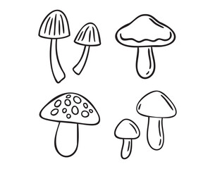 Cozy autumn doodle mushrooms different types, line art monochrome hand drawn outline