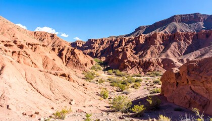 Red canyon landscape with a dry riverbed