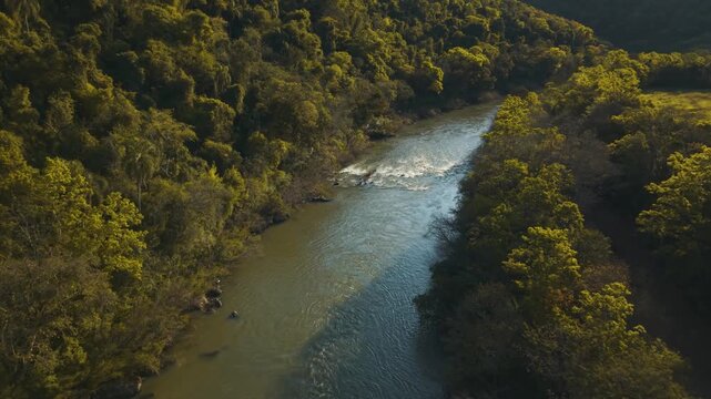 Green river in the forest on a sunny day. Irani river. 4K. Aerial. Drone.