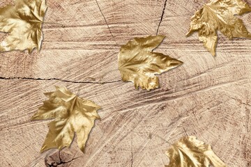 Fall gold dry autumn leaves