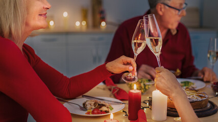 Young woman and her senior mother toasting with wine glasses, celebrating holiday with their family, enjoying festive dinner at home. Thanksgiving, Christmas celebration concept