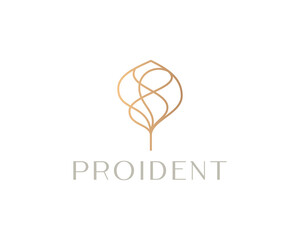 Abstract elegant golden linear tree logo icon  design. Premium park nature bio relax spa sign logotype.