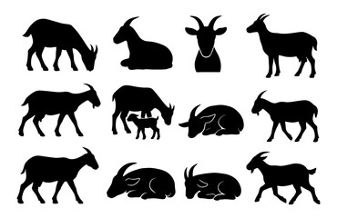 Naklejka premium Goat silhouettes collection: grazing, standing, and resting poses