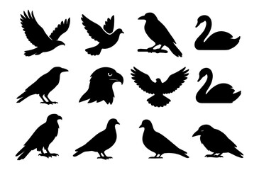Fototapeta premium Collection of bird silhouettes featuring various poses and species