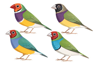 Obraz premium Various Gouldian Finches PNG – Colorful Cartoon and Realistic Bird Illustrations on Transparent Background