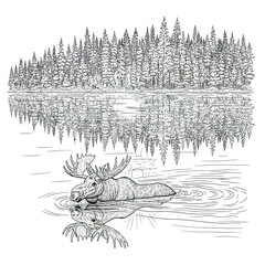 Detailed Wildlife Vector Illustration of Moose Swimming with Pine Tree Forest Reflection in Monochrome Style