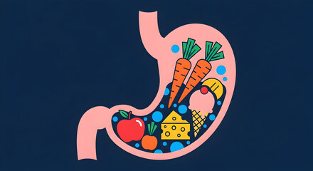 A healthy stomach digests a balanced diet of fruits vegetables and dairy
