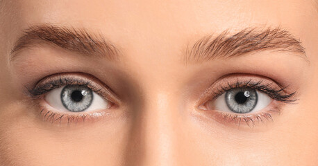 Obraz premium Young woman with beautiful eyebrows, closeup