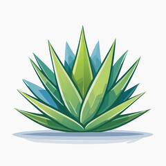 Agave Plant Illustration Green Blue Spiky Leaves White Background